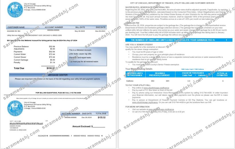 USA CITY OF CHICAGO business utility bill Word and PDF template